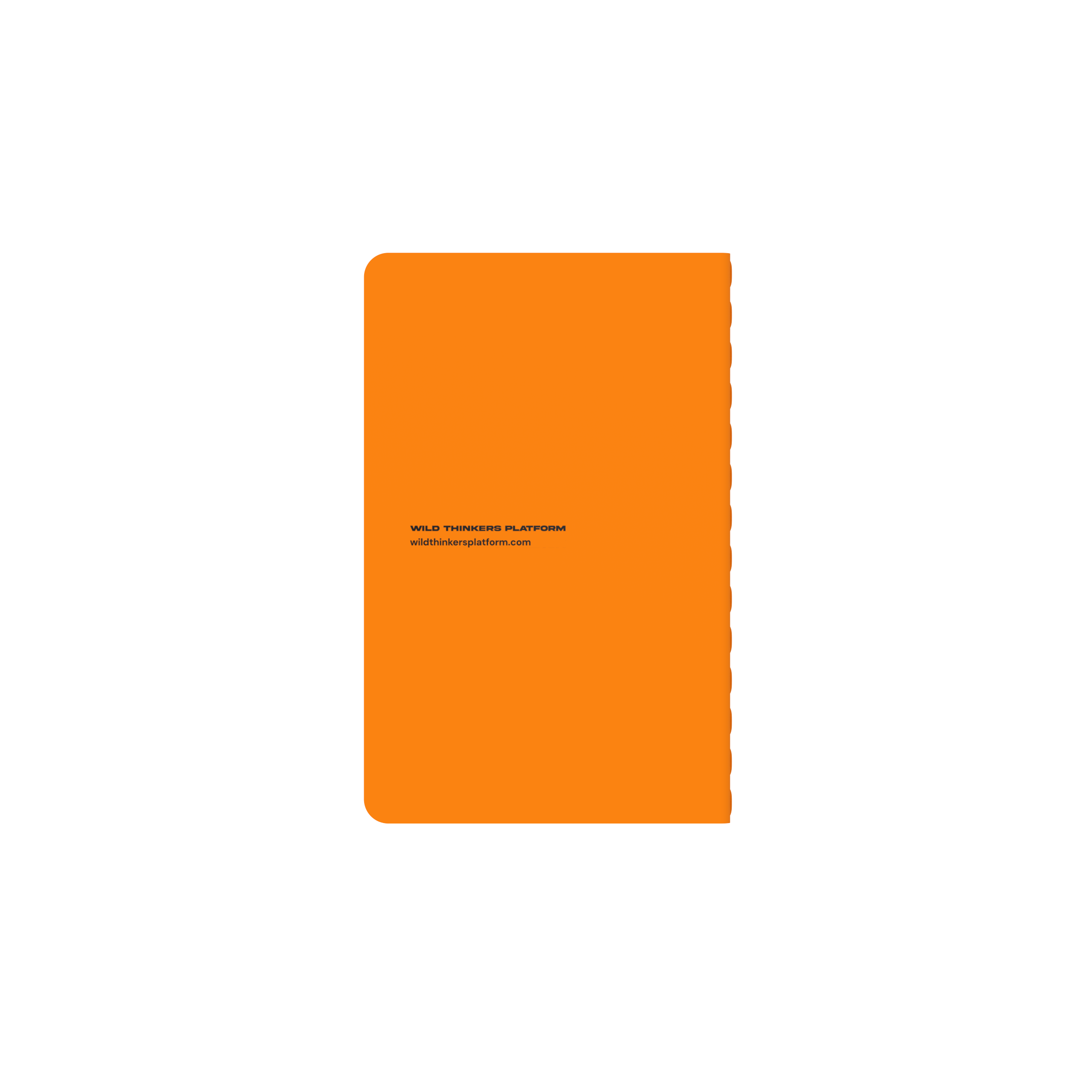 #color_Orange